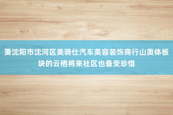 萧沈阳市沈河区美骑仕汽车美容装饰商行山奥体板块的云栖将来社区也备受珍惜
